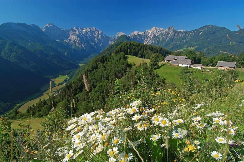 Stiftar Bauernhof